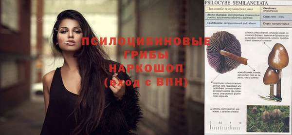 синтетический гашиш Нестеровская