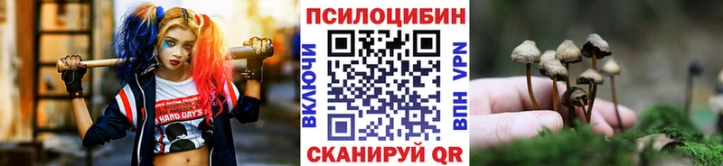 МЕГА ССЫЛКА Отрадный Галлюциногенные грибы прущие грибы