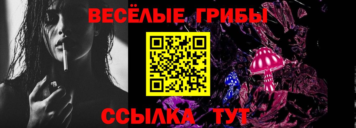 Отрадный  Псилоцибиновые грибы Psilocybine cubensis  Вход с VPN 